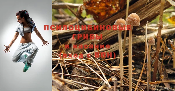 а пвп мука Коряжма