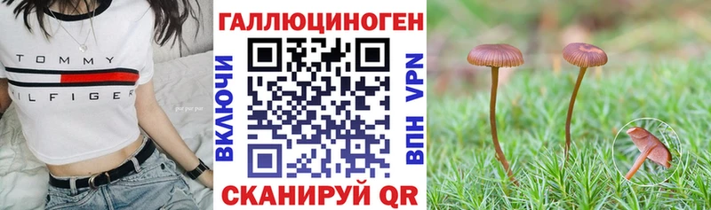 Псилоцибиновые грибы Magic Shrooms  Купить  Нариманов 